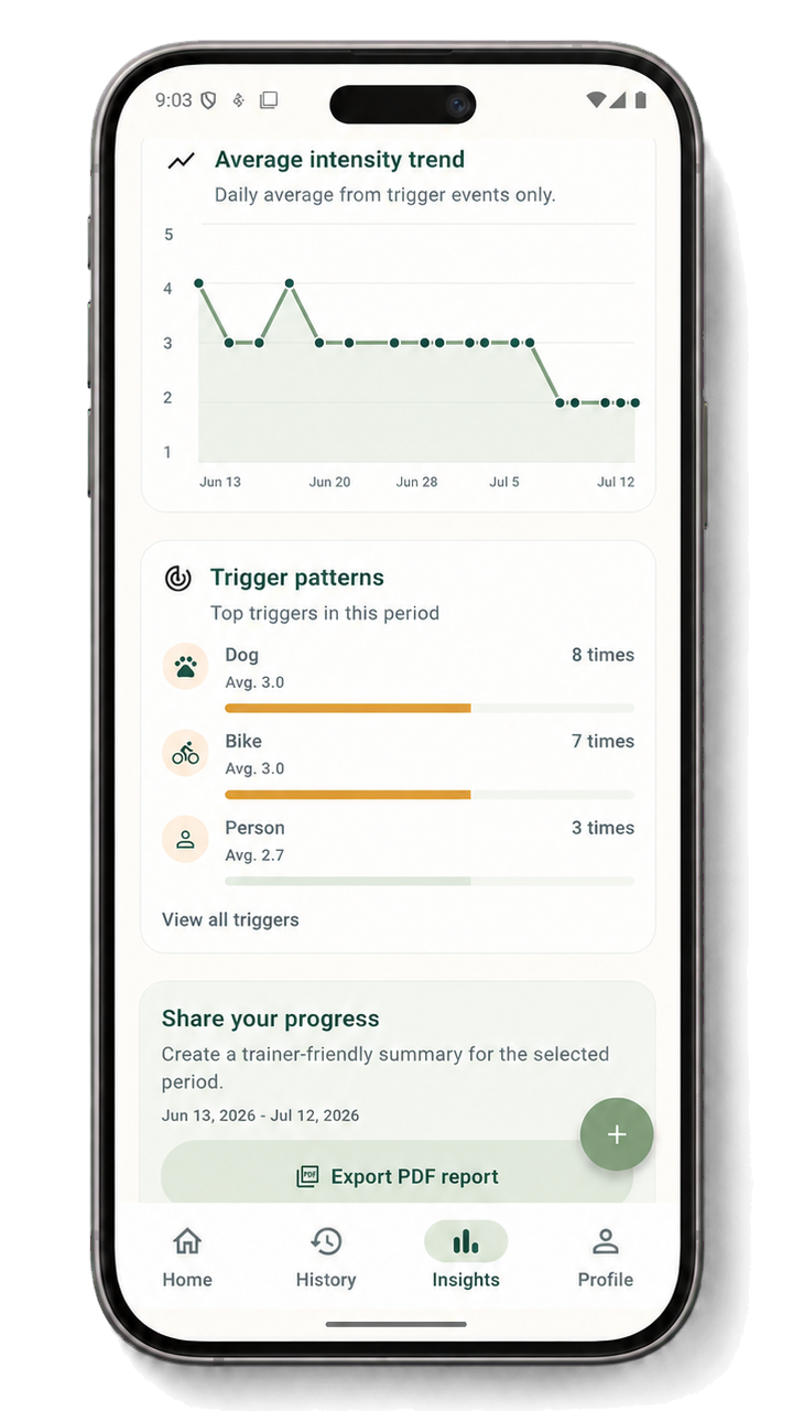 CalmWalk insights screen showing the average intensity trend and trigger patterns.